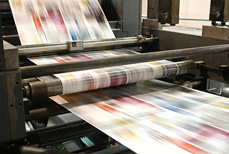 Periódicos y revistas